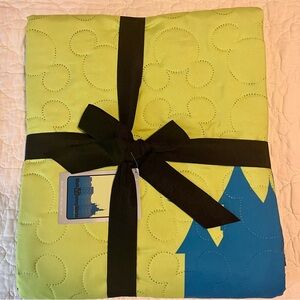 Disney Picnic Travel Blanket Beach Sports Bright green blue 50 x 60 inches  New
